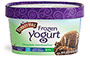 Chocolate Marshmallow Frozen Yogurt