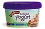 Honey Vanilla Granola Frozen Yogurt