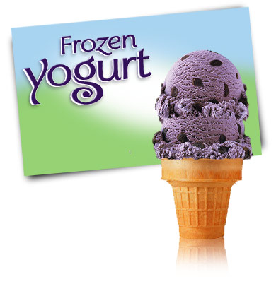 Turkey Hill Black Raspberry Chocolate Chip Frozen Yogurt