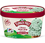 Choco Mint Chip Premium Ice Cream