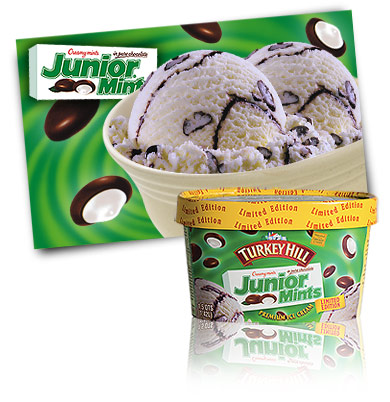 Turkey Hill Junior&reg; Mint Premium Ice Cream
