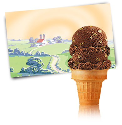 Turkey Hill Chocolate Almond Premium Ice Cream