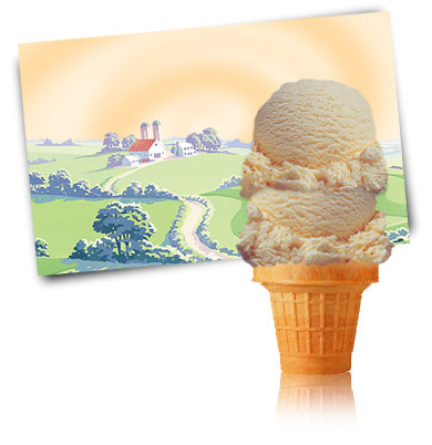 Turkey Hill Egg Nog - Seasonal Premium Ice Cream
