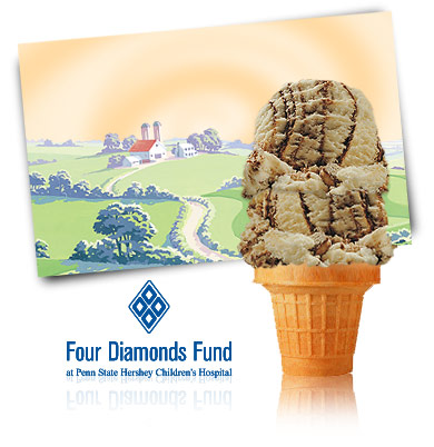 Turkey Hill Fudge Ripple Premium Ice Cream