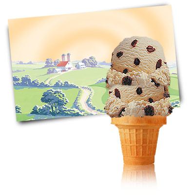 Turkey Hill Rum Raisin Premium Ice Cream