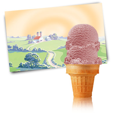 Turkey Hill Teaberry Premium Ice Cream
