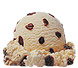Rum Raisin Premium Ice Cream