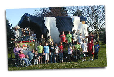 cows on hill