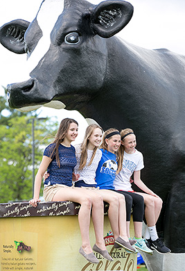 One of the 3 Giant Turkey Hill Truck Cows...and some girls who really like gelato.