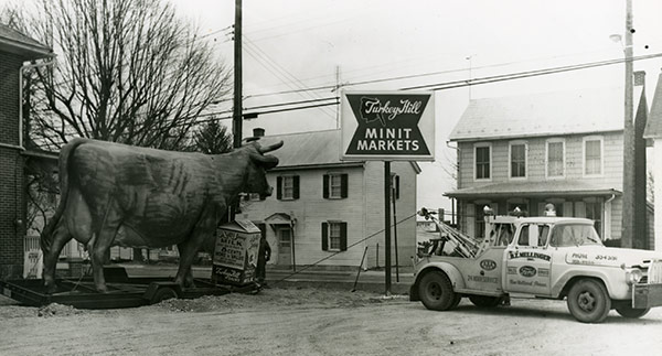 Our Jersey Cow needs a Tow Truck