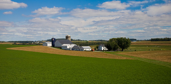 Lancaster County Farm