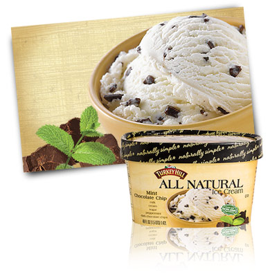 Turkey Hill Mint Chocolate Chip All Natural Ice Cream