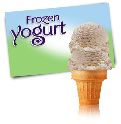 Turkey Hill Vanilla Bean Frozen Yogurt