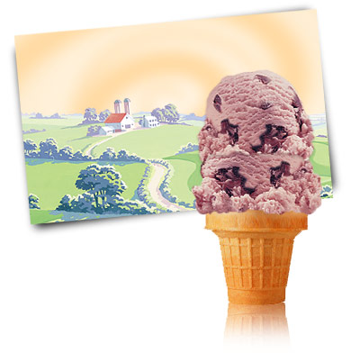 Turkey Hill Black Cherry Ice Cream and Frozen Desserts
