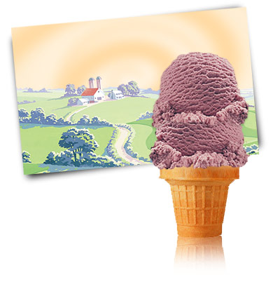 Turkey Hill Black Raspberry Ice Cream and Frozen Desserts