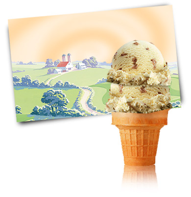 Turkey Hill Butter Brickle Ice Cream