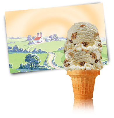 Turkey Hill Butter Pecan Ice Cream