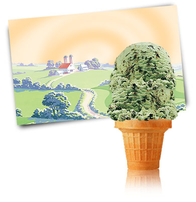 Turkey Hill Choco Mint Chip Ice Cream and Frozen Desserts