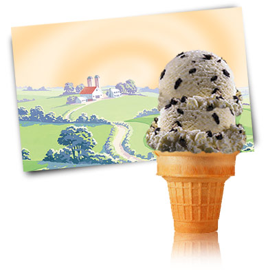 Turkey Hill Chocolate Chip Ice Cream