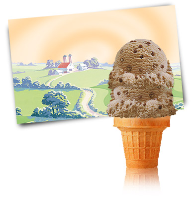 Turkey Hill Chocolate Malt Chip Ice Cream