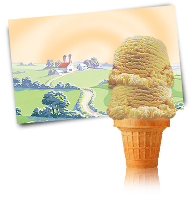Turkey Hill French Vanilla Ice Cream