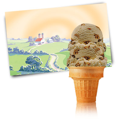 Turkey Hill Maple Walnut Ice Cream
