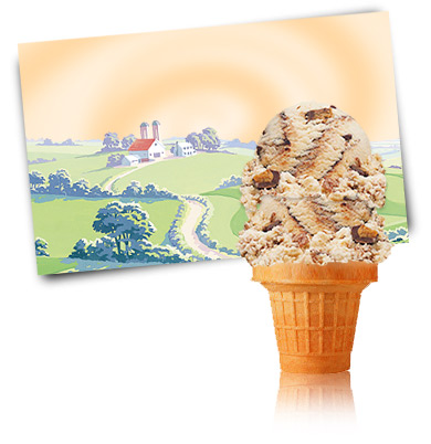 Turkey Hill Peanut Butter Sundae  Ice Cream