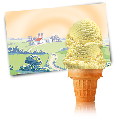 Turkey Hill Vanilla Premium Ice Cream