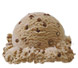 Chocolate Malt Chip Ice Cream