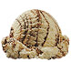 Fudge Ripple Premium Ice Cream