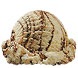 Fudge Ripple Ice Cream