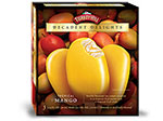 Tropical Mango Decadent Delights Bars