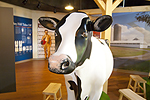 Turkey Hill Experience Milking Cow Exhibit